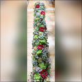 potted succulent decoration