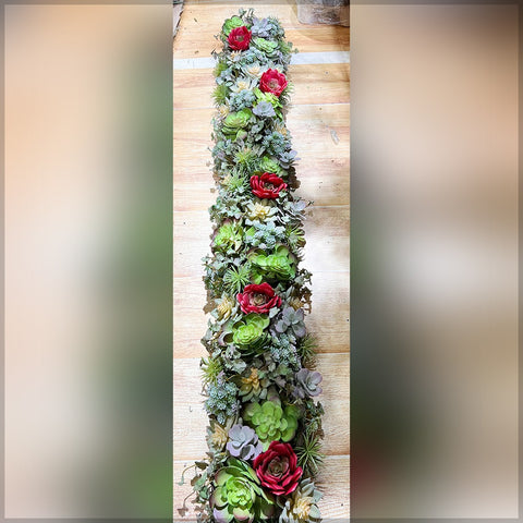 potted succulent decoration