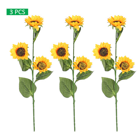 sunflower stem