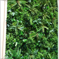 tropical plant wall for modern interiors
