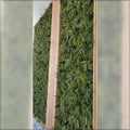 lush green wall with tropical leaves