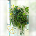 tropical leaves wall decoration