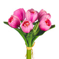 Silk Tulips