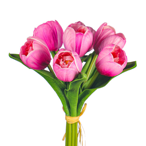Silk Tulips