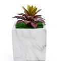 Artificial Succulent in Ceramic Pot
