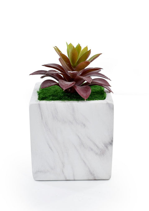 Artificial Succulent in Ceramic Pot