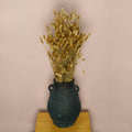 Elegant Minimalist Dried Flowers