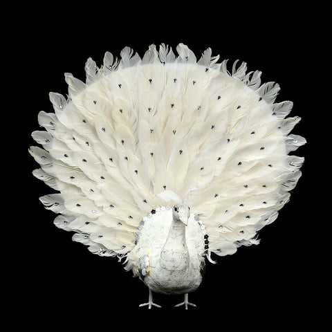 Peacock garden statue