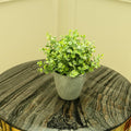 Faux eucalyptus plant green