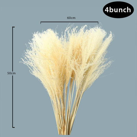 Boho Style Pampas Grass