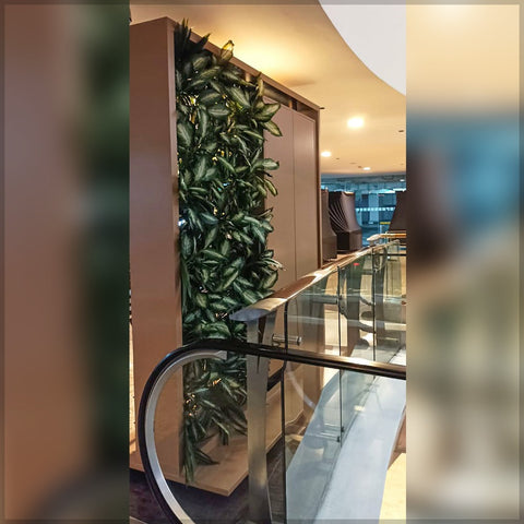 Hanging Leaves and Plants Decoration