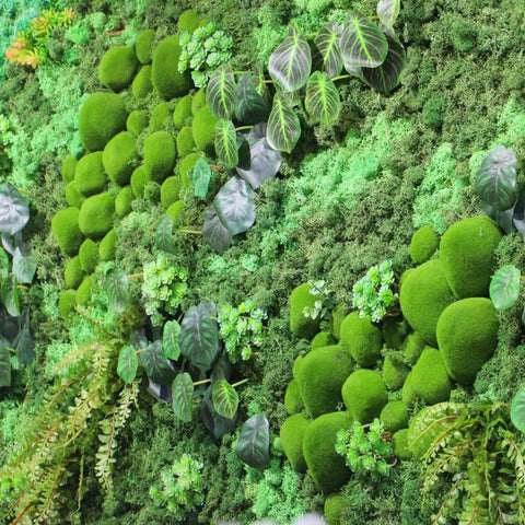 moss wall hanging for home