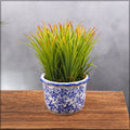 Indoor Ceramic Pots