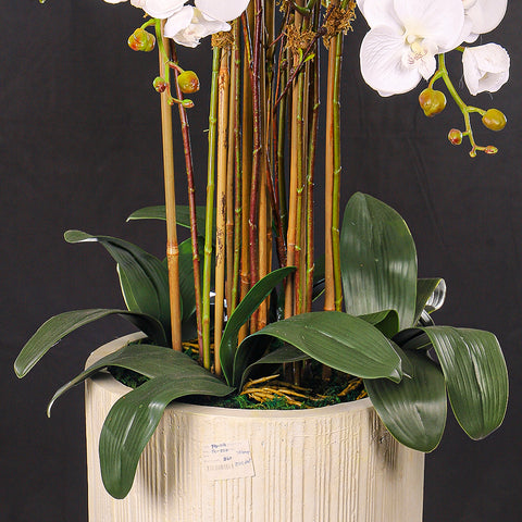 Faux orchids