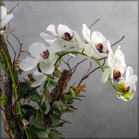 Artificial orchids
