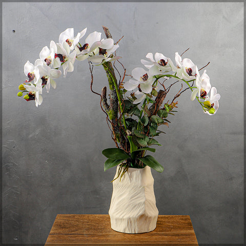 Orchid flowers arrangement