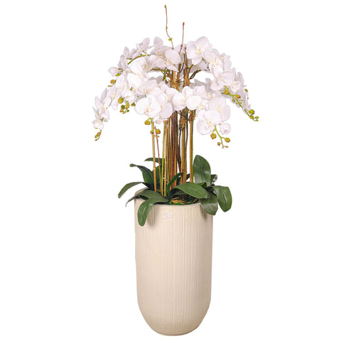 Natural look orchids