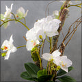White orchid decor