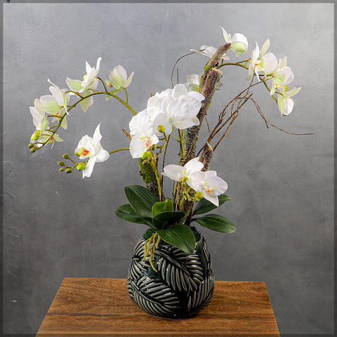 Orchid flowers arrangement