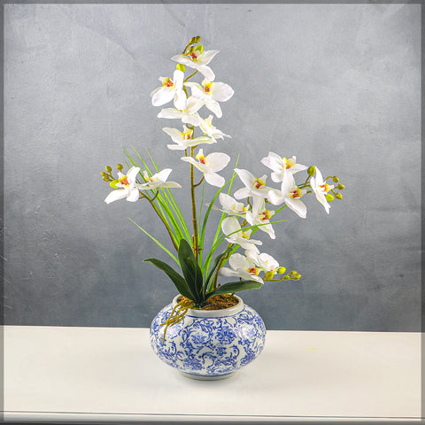 Orchid arrangement in Chinese vase