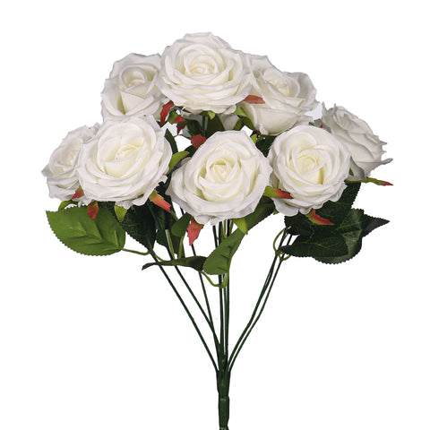 white rose flower