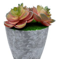 Artificial Pink Succulent Plant Potted