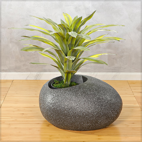 Realistic Dracaena Plant 60cm Tall