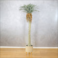Faux yucca tree