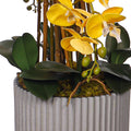 Orchid centerpiece