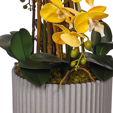 Orchid centerpiece