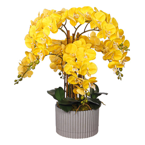 Natural look orchids