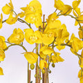 Faux orchids