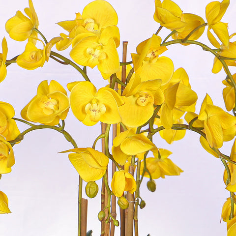 Faux orchids