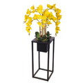 Natural look orchids