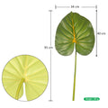 Taro plant foliage