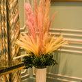 Fluffy Pampas Grass for Vases