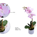 Pink orchid